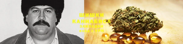 мет Елизово