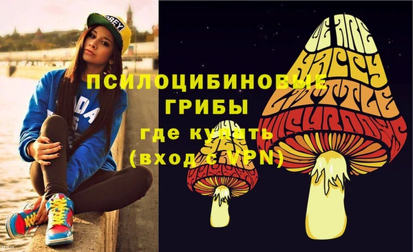 соль курить ск Ельня