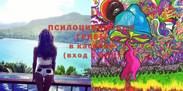 МДПВ Елабуга