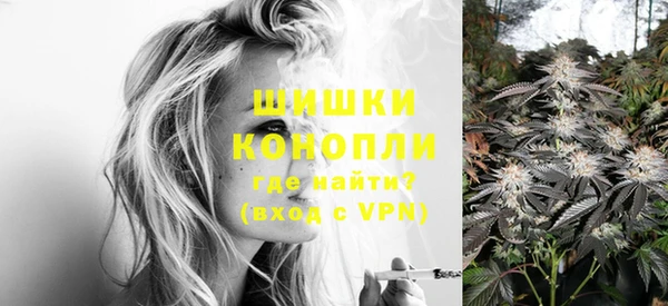 мет Елизово