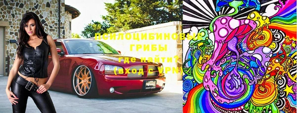 МДПВ Елабуга